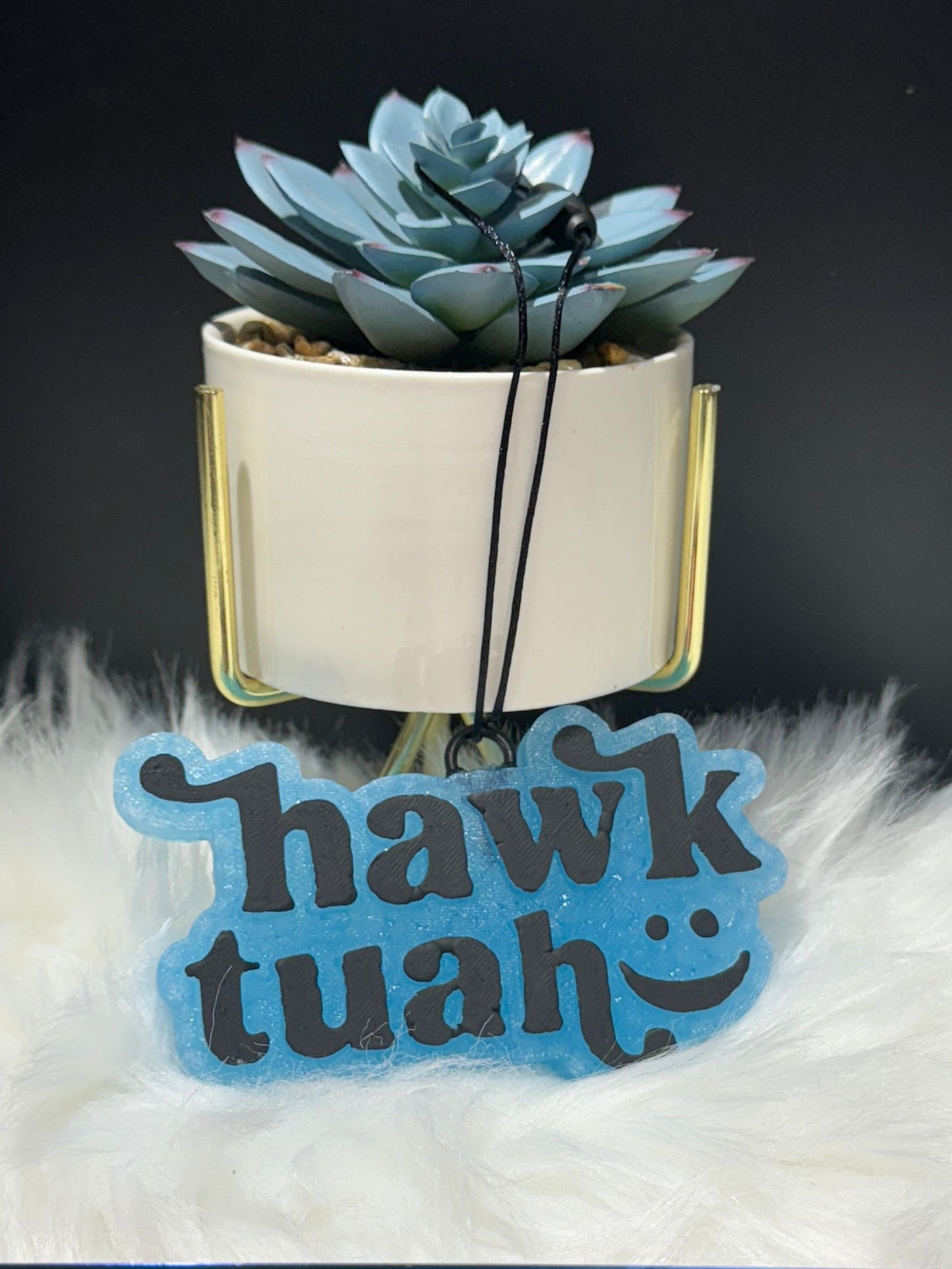 Hawk Tuah Freshie