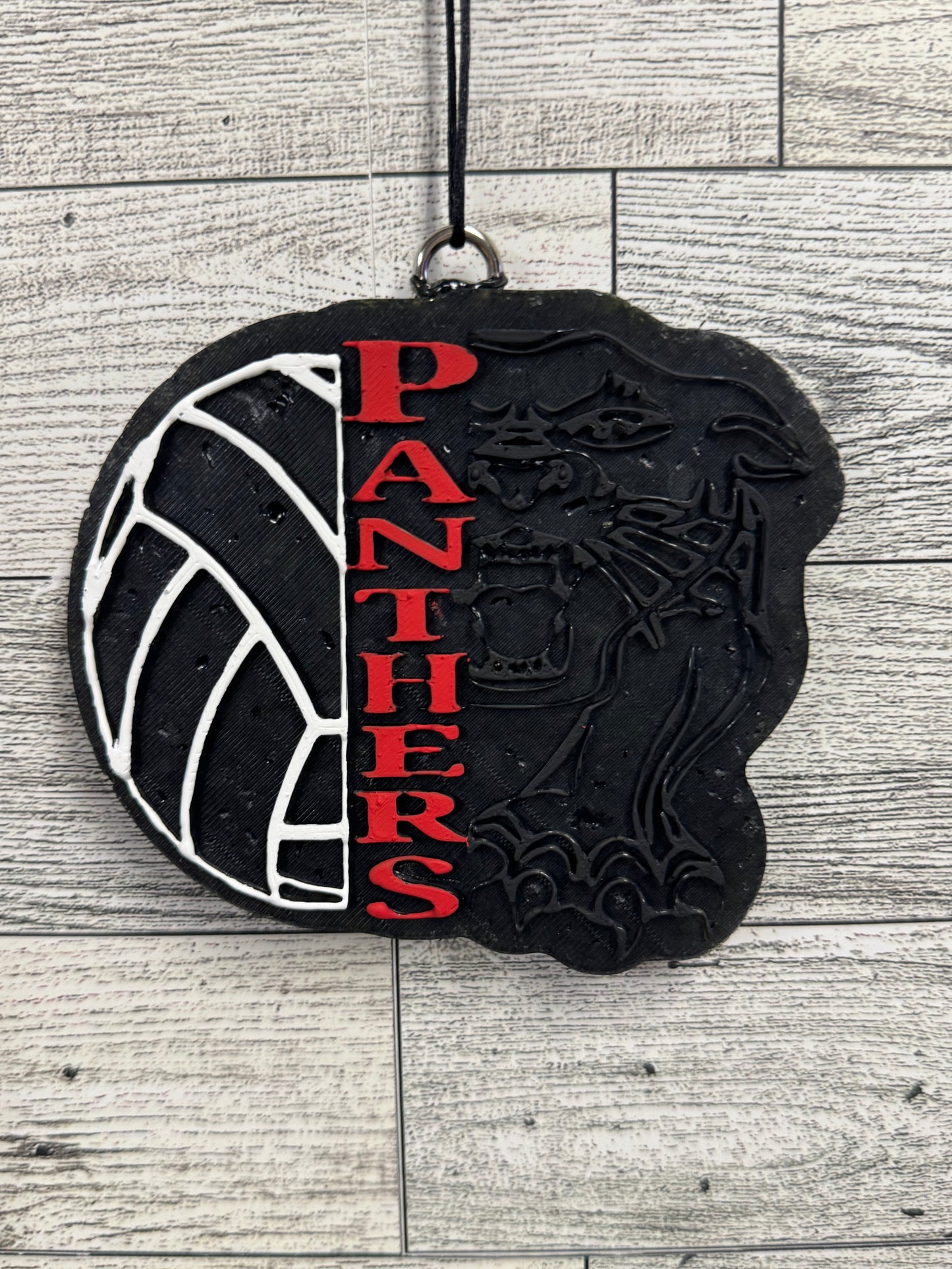 Panthers Volleyball Freshie